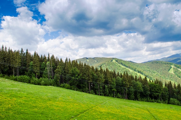 Widok na piękne Karpaty latem