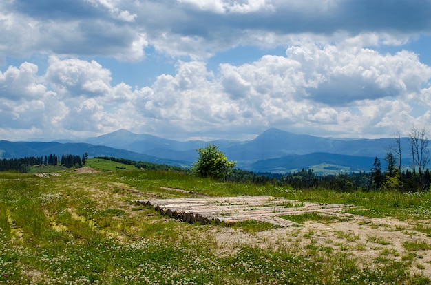 Widok na piękne Karpaty latem