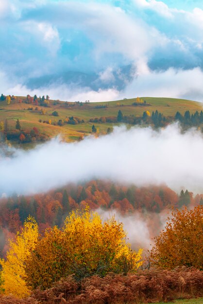 Widok Na Piękne Wzgórza Otoczone Gęstą Mgłą