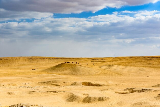 Widok na płaskowyż Giza Kair Egipt