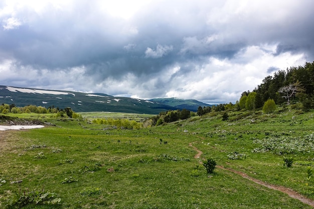 Widok na płaskowyż LagoNaki w Adygei Góry Kaukazu Rosja 2021