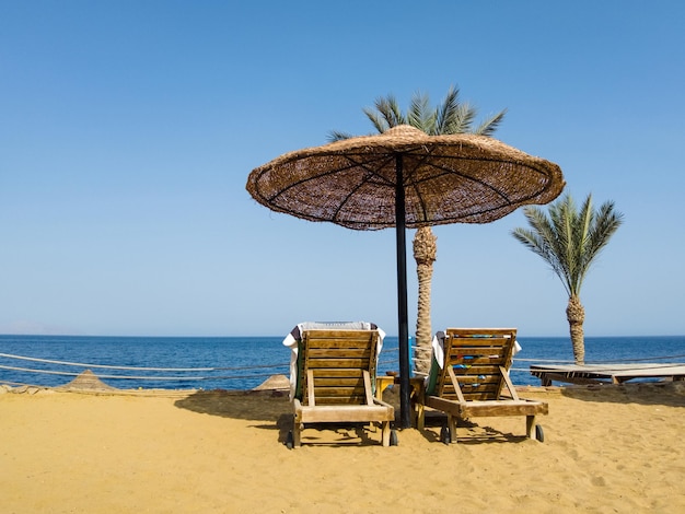 Zdjęcie widok na plażę i morze czerwone