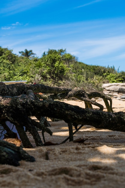 Widok na plażę Joana w Rio das Ostras w Rio de Janeiro. Słoneczny dzień, błękitne niebo. Silne morze, żółtawy piasek i mnóstwo skał.