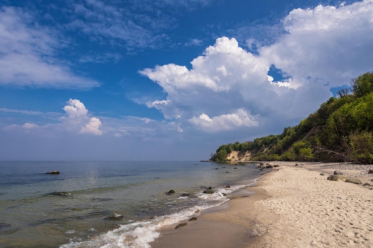 Zdjęcie widok na plażę na chmurnym niebie