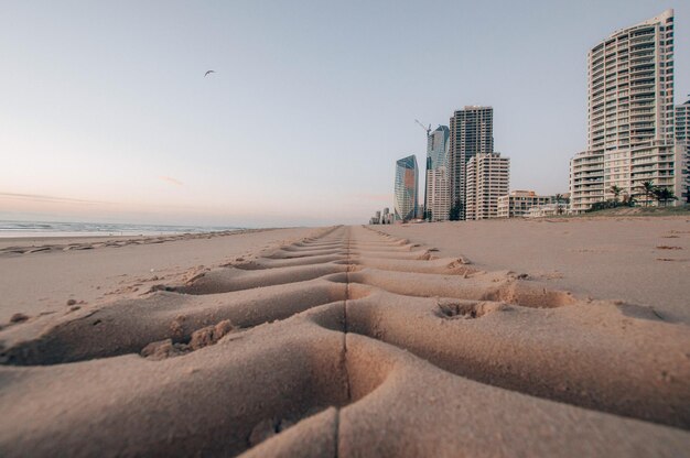 Zdjęcie widok na plażę na tle czystego nieba