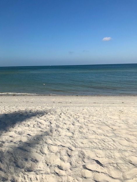 Zdjęcie widok na plażę na tle jasnego niebieskiego nieba