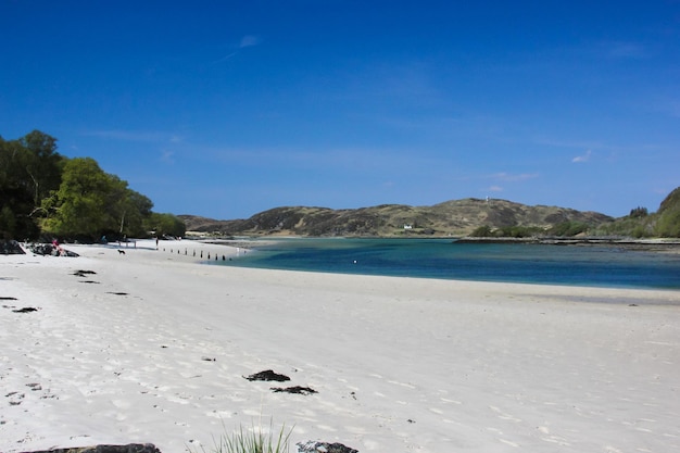 Widok na plażę na tle jasnego niebieskiego nieba