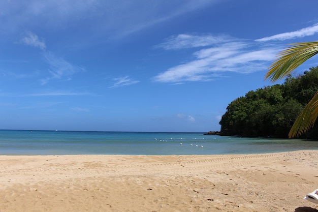 Zdjęcie widok na plażę na tle nieba