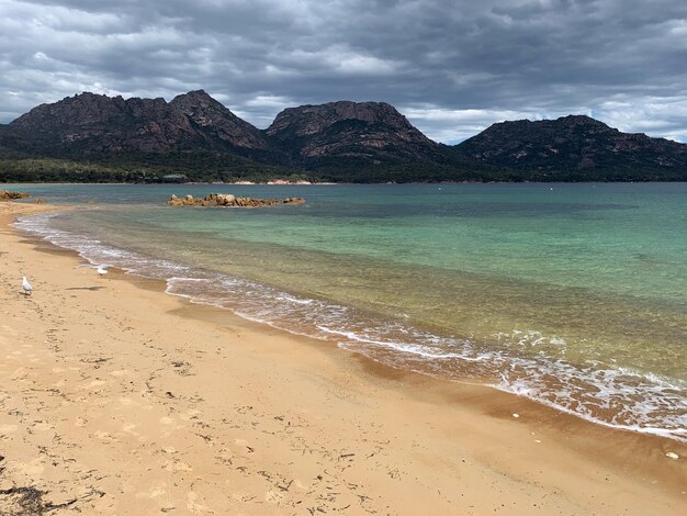 Zdjęcie widok na plażę na tle nieba