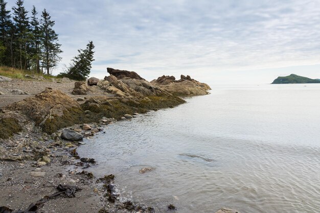 Zdjęcie widok na plażę na tle nieba