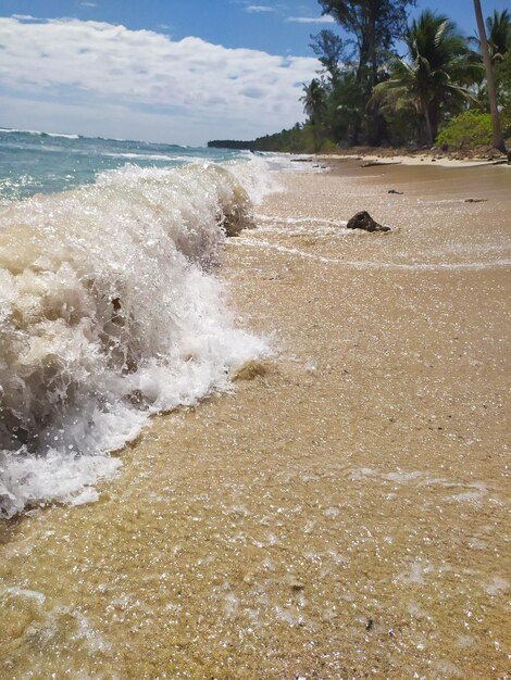 Zdjęcie widok na plażę na tle nieba