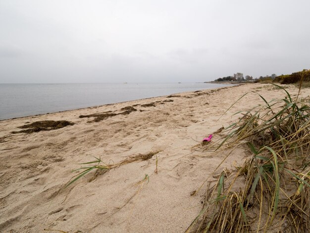 Zdjęcie widok na plażę na tle nieba