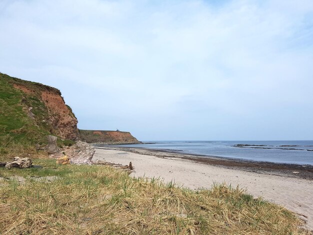 Zdjęcie widok na plażę na tle nieba