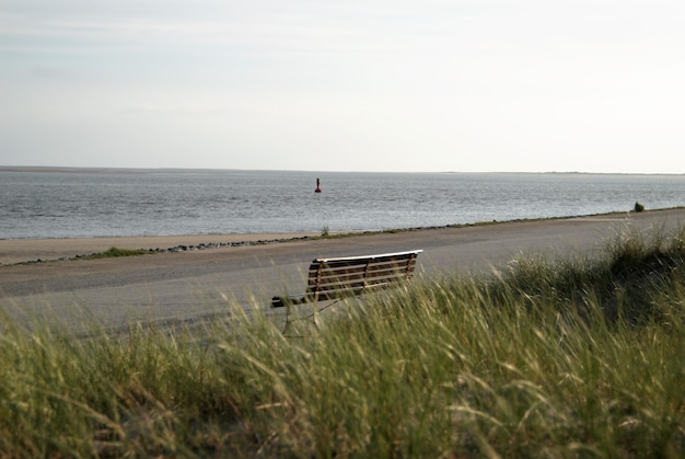 Zdjęcie widok na plażę na tle nieba