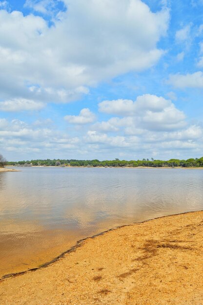 Zdjęcie widok na plażę na tle nieba