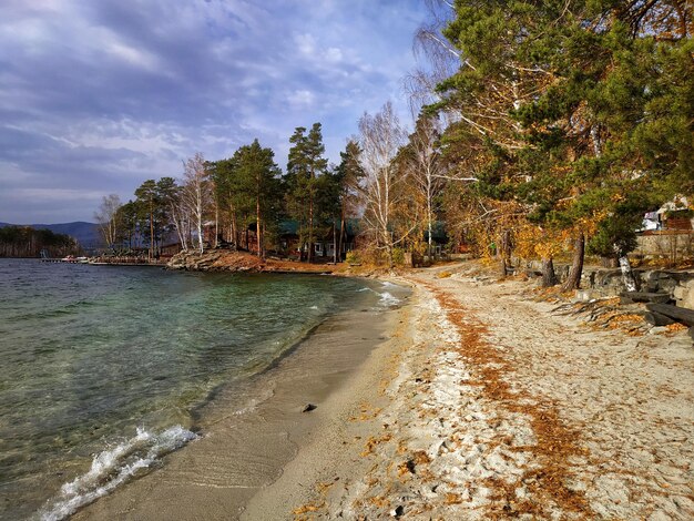 Zdjęcie widok na plażę na tle nieba