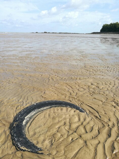 Zdjęcie widok na plażę na tle nieba