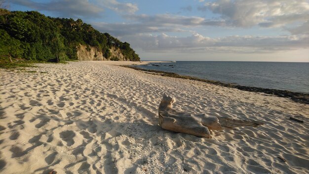 Zdjęcie widok na plażę na tle nieba