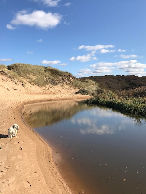 Widok na plażę na tle nieba