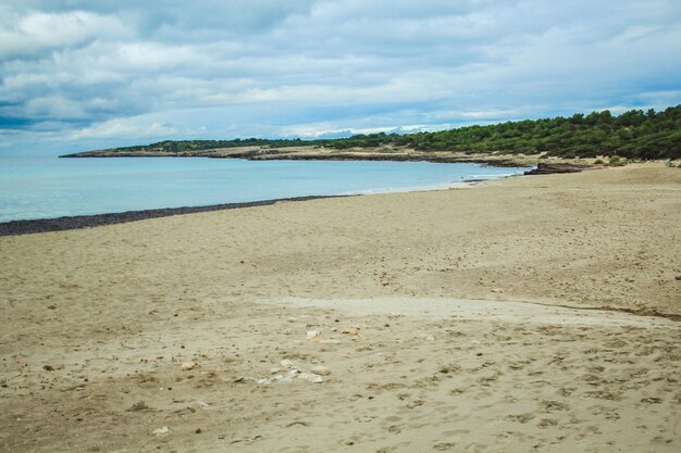 Zdjęcie widok na plażę na tle nieba