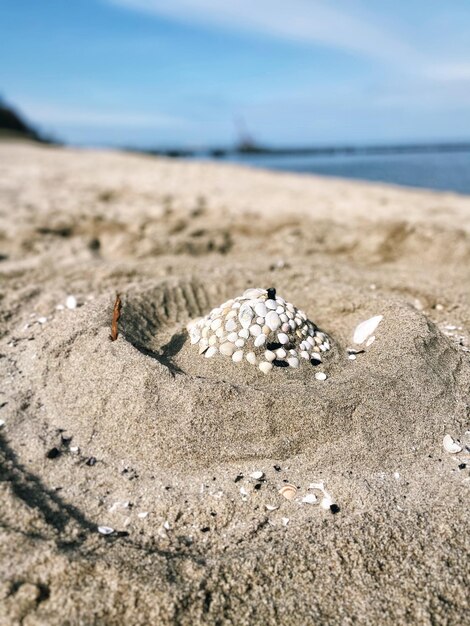 Zdjęcie widok na plażę na tle nieba