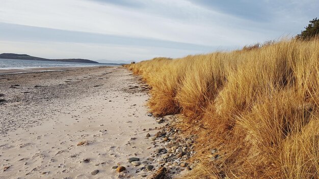 Widok na plażę na tle nieba