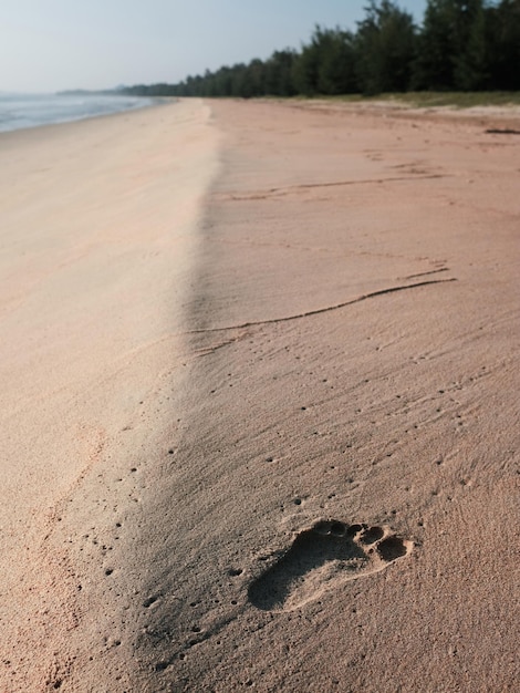 Zdjęcie widok na plażę na tle nieba