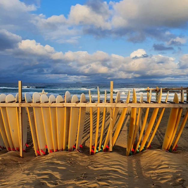 Zdjęcie widok na plażę na tle nieba