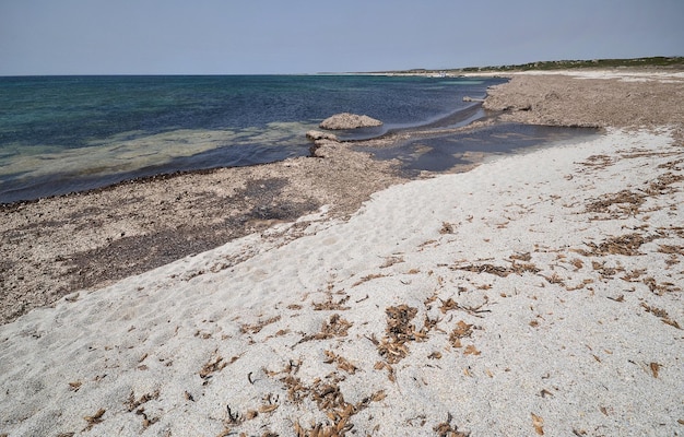 Zdjęcie widok na plażę na tle nieba