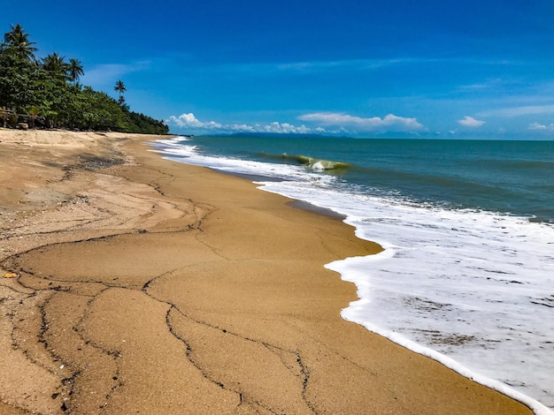 Zdjęcie widok na plażę na tle niebieskiego nieba