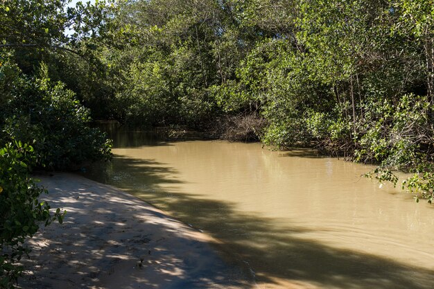 Widok na plażę Rio das Ostras ze spotkaniem rzeki w Rio de Janeiro. Słoneczny dzień, błękitne niebo. Żółty piasek i trochę skał. Drewniany most do przejścia. Łodzie i wędkowanie na molo.