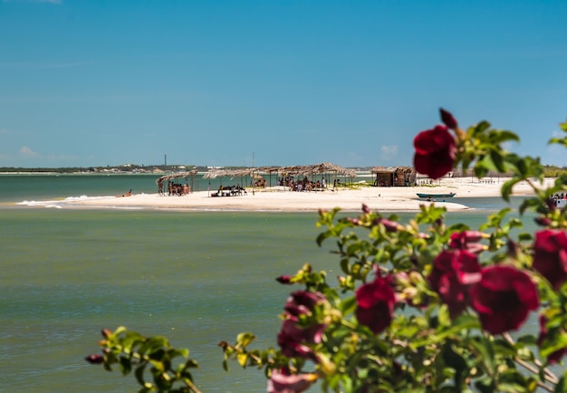 Zdjęcie widok na plażę wyspy tieta ze wsi mangue seco z kąpiących się namiotami ze słomy i kwiatami na pierwszym planie