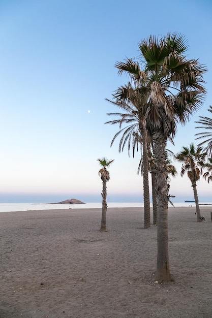 Widok na plażę z palmami o zmierzchu Carboneras Cabo de Gata Almeria Hiszpania