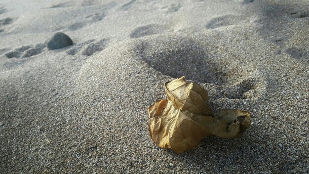 Zdjęcie widok na plażę