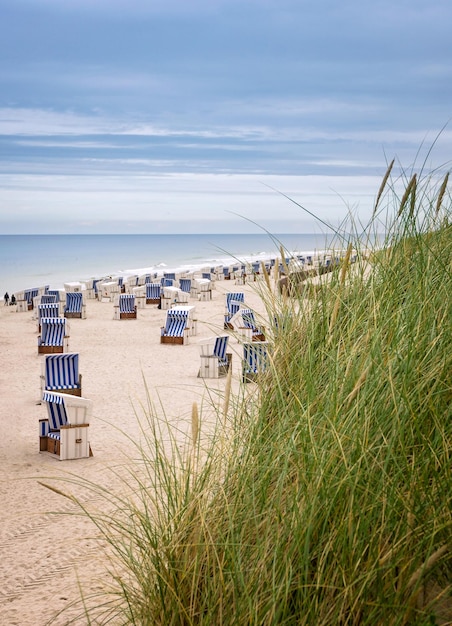 Zdjęcie widok na plażę