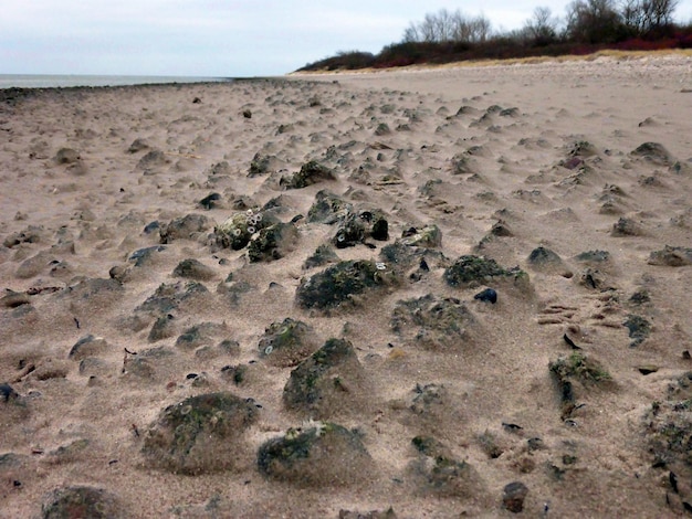 Zdjęcie widok na plażę