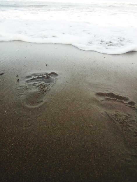 Widok na plażę