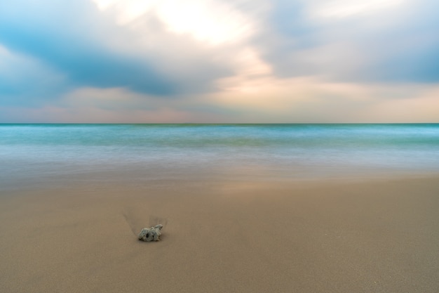 Zdjęcie widok na plażę