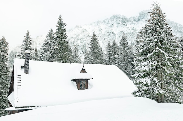 Widok na pobliskie góry podąża drogą do morskiego oka zimą zakopane