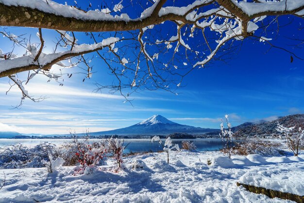 Zdjęcie widok na pokryte śniegiem góry na tle niebieskiego nieba