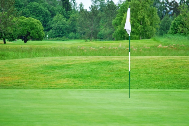 Zdjęcie widok na pole golfowe