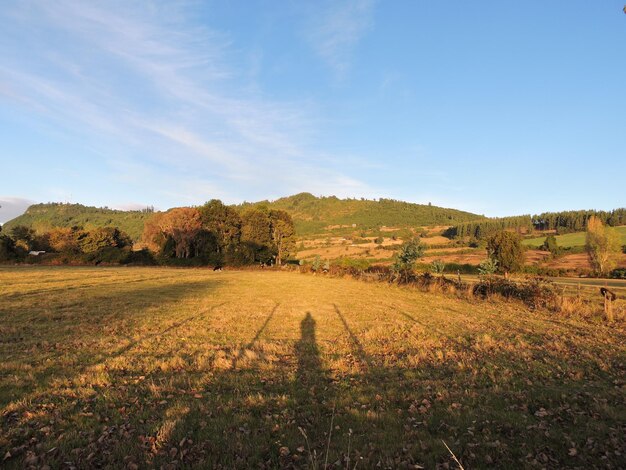 Widok na pole na tle chmurnego nieba