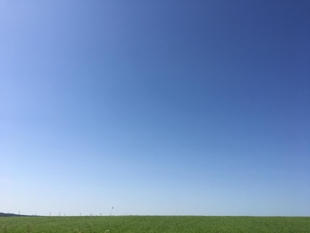 Widok na pole na tle czystego niebieskiego nieba