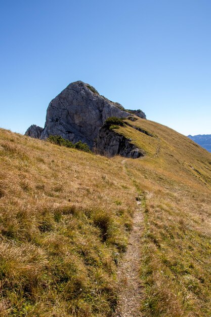 Zdjęcie widok na pole na tle jasnego niebieskiego nieba