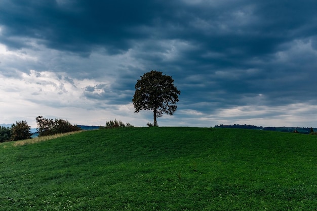 Widok na pole na tle nieba