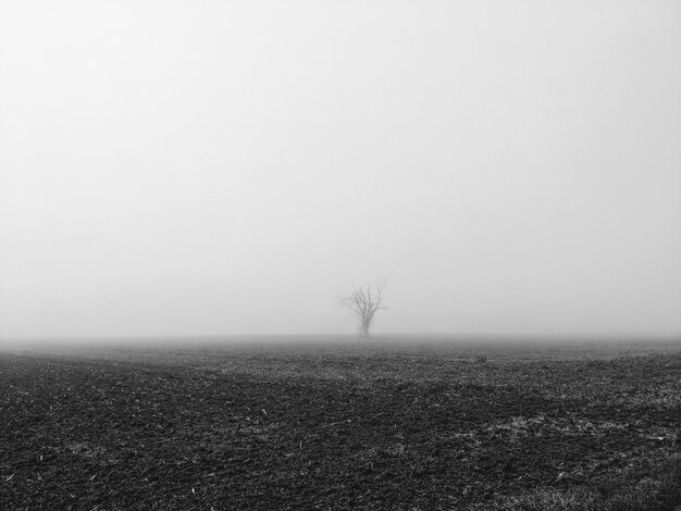 Zdjęcie widok na pole na tle nieba