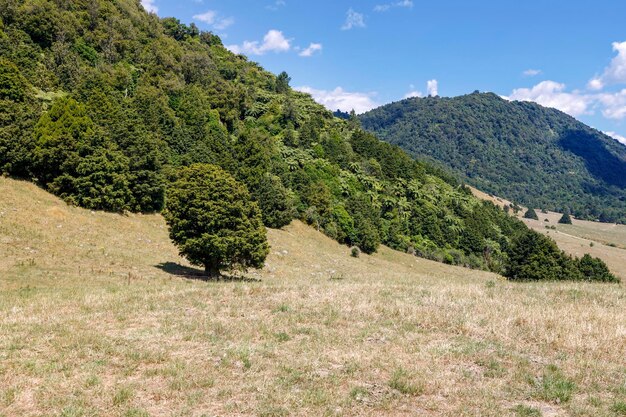 Zdjęcie widok na pole na tle nieba