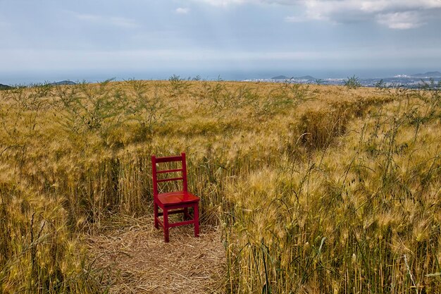 Zdjęcie widok na pole na tle nieba