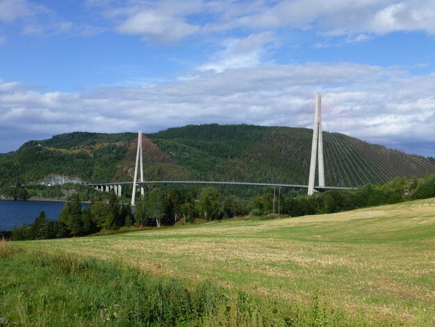 Widok na pole na tle nieba