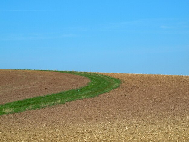 Zdjęcie widok na pole na tle niebieskiego nieba